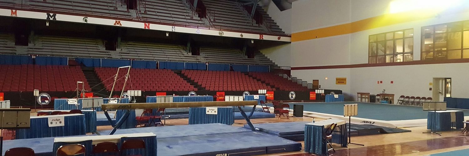 MN HS Gymnastics banner