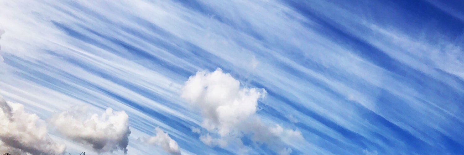 lv_ch0's profile banner image