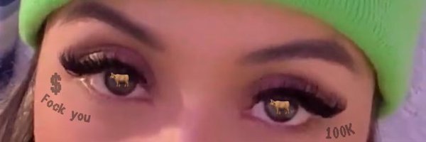 Dogwiz Profile Banner