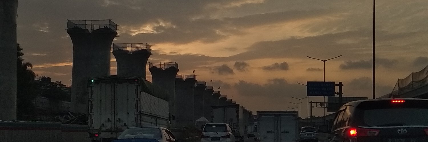 insanidu's profile banner image