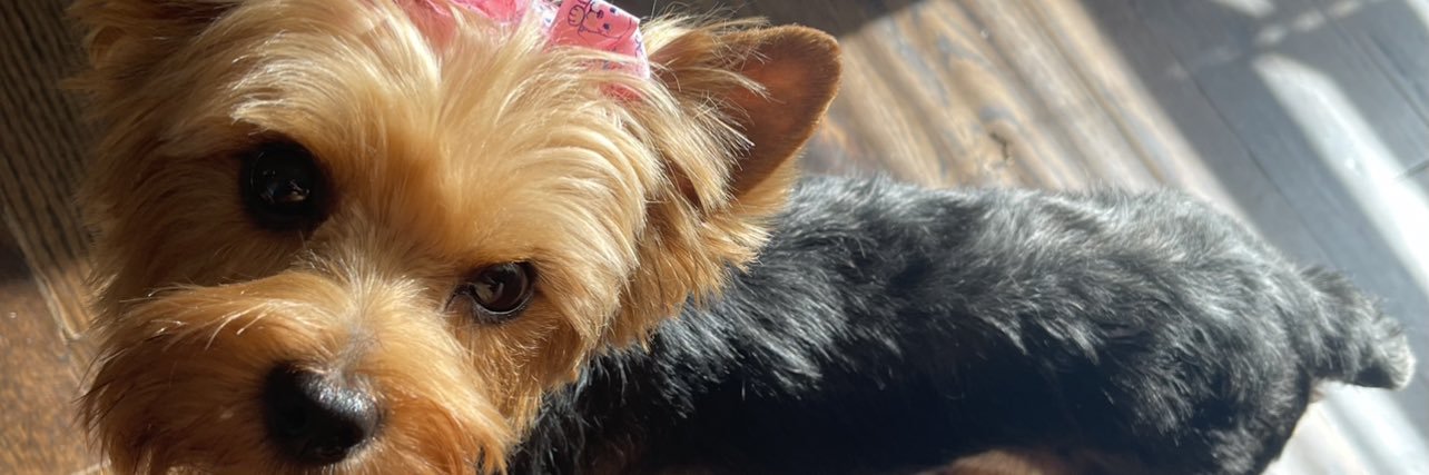 prettyniy_'s profile banner image