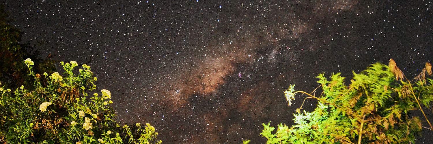 Muhammad D. Firdaus banner