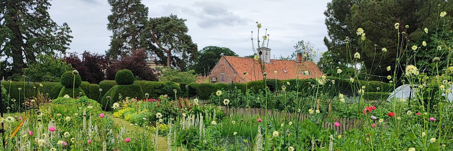 NorfolkNGS's profile banner image