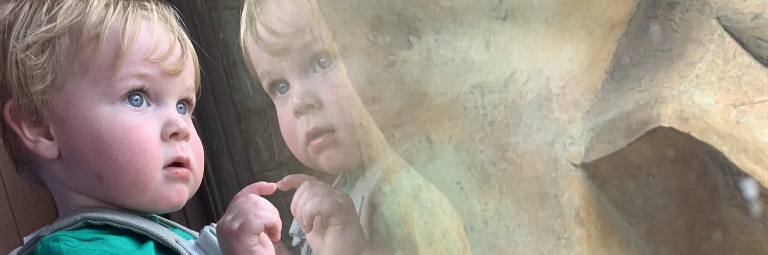 MakaylabLacy's profile banner image