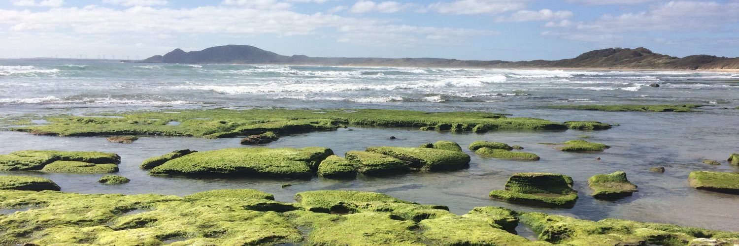 Spotted Quoll banner
