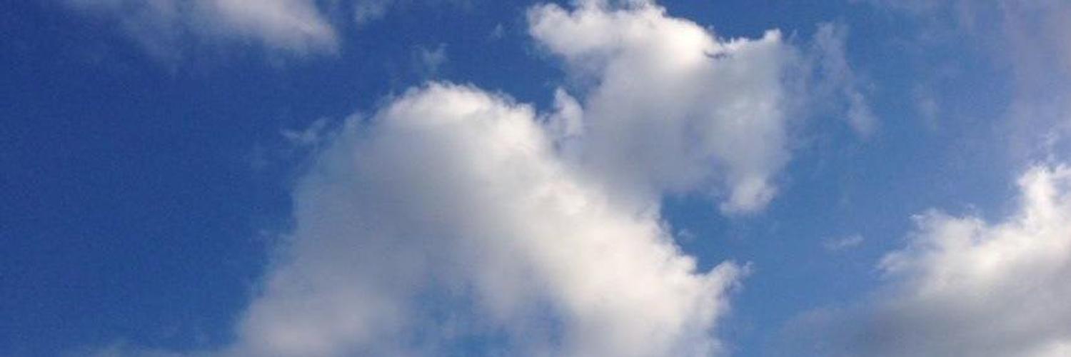 pm58446027's profile banner image