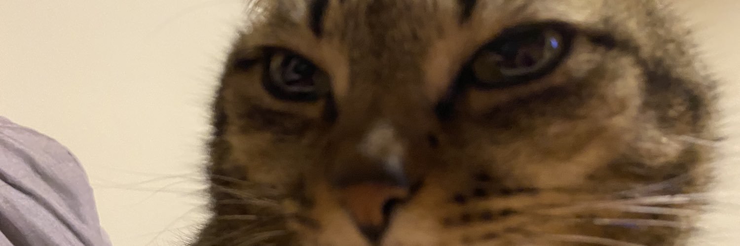 afnbluh's profile banner image