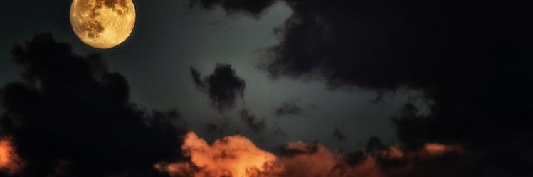 shlebby__'s profile banner image