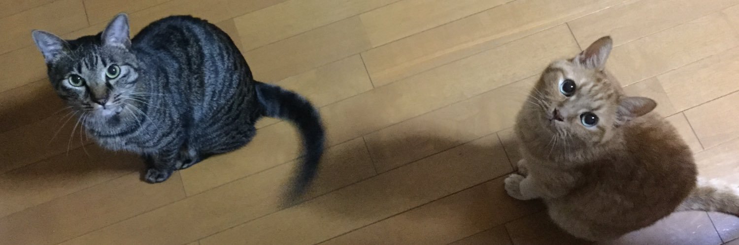 e_e_d_e's profile banner image