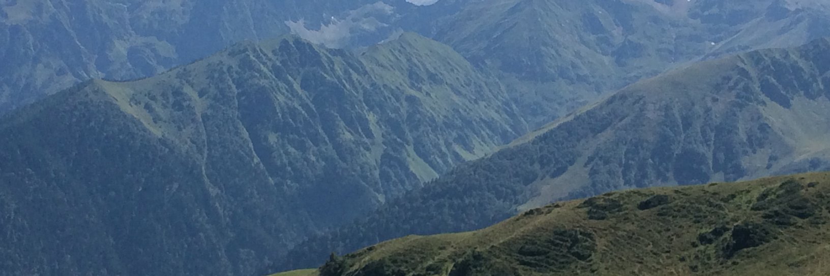 The UTI Doctor 💙 banner