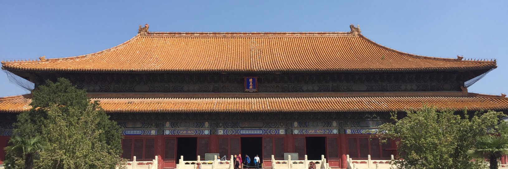 Caroline Plissonneau banner