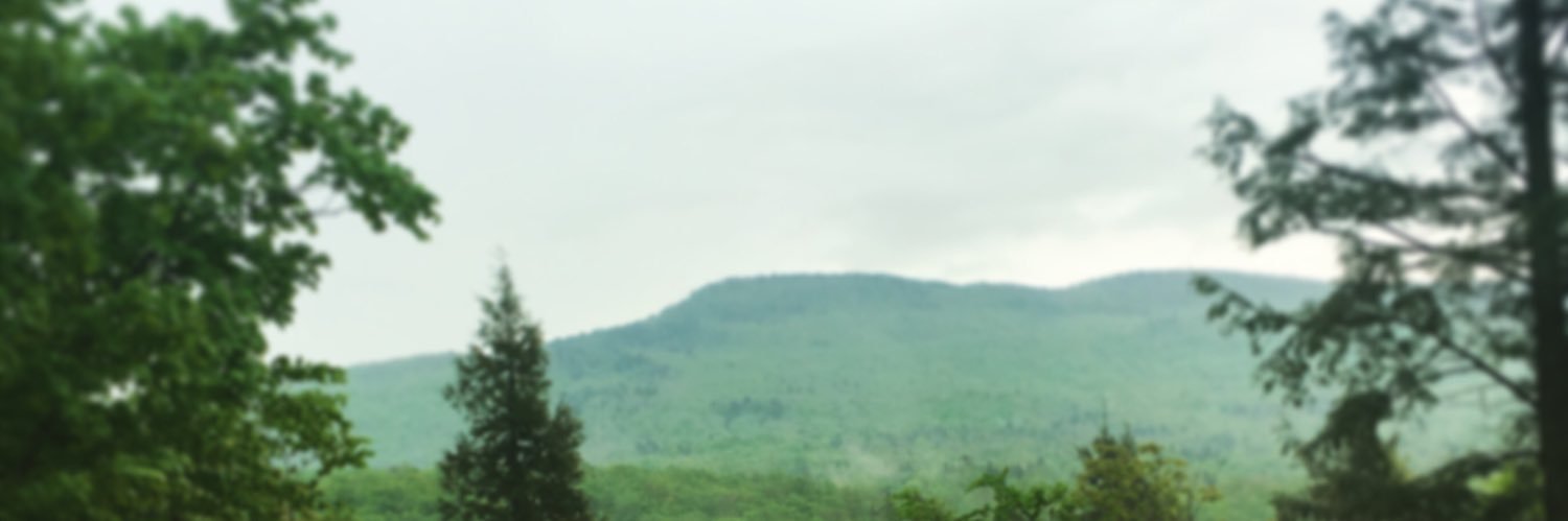 lulu crossing banner