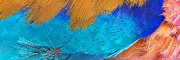 LBRSociety Profile Banner