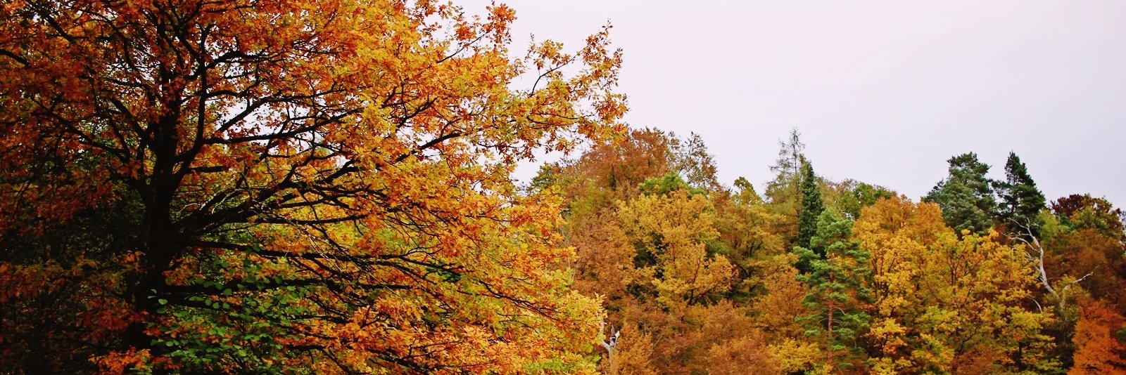 Jana Stäbener banner