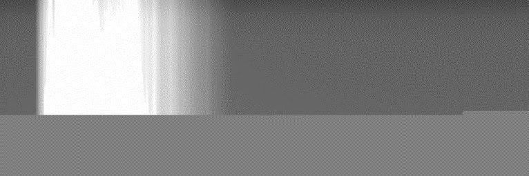 野鉄砲🔫無鉄砲@広島長崎原爆資料館のVR化を求めます！ banner