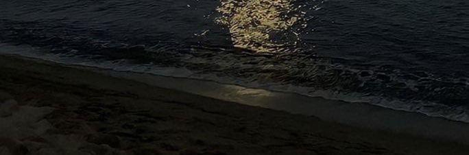 y ‎✮ ⋆ banner