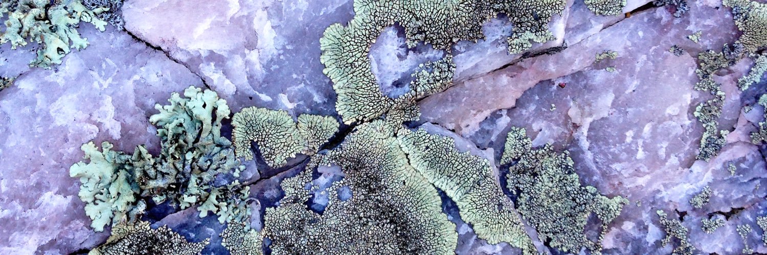 Morgan Zipperly, MD, PhD banner