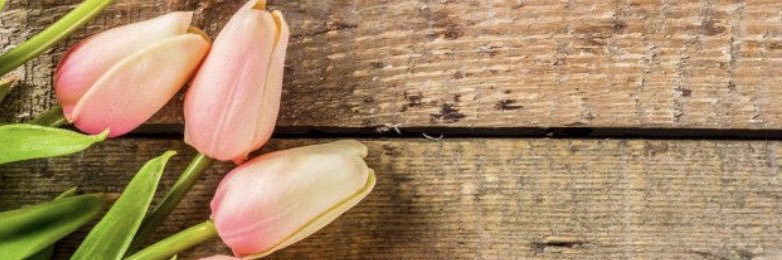 TereThomask's profile banner image