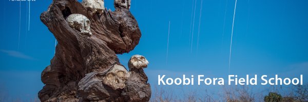 Koobi Fora Fldschl Profile Banner
