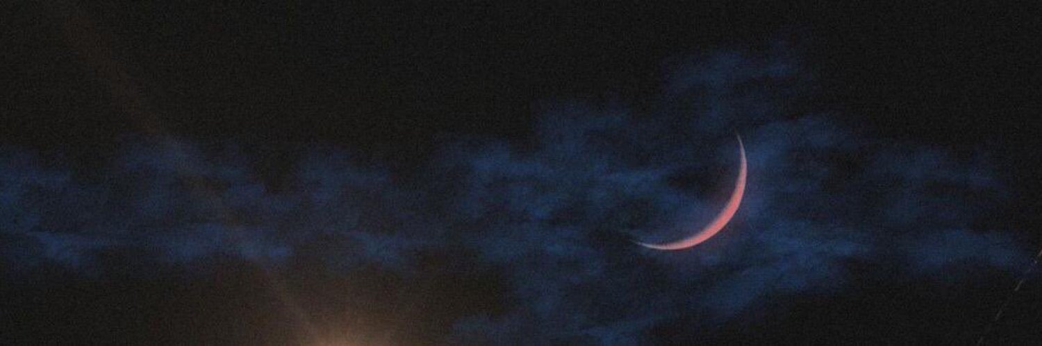 nwfii8's profile banner image
