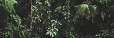 gilberttvds's profile banner image