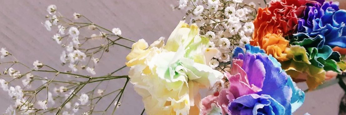 __heckshonn's profile banner image