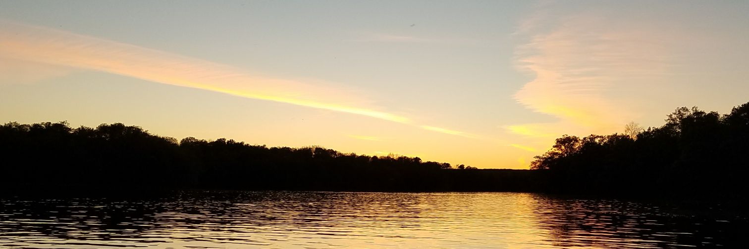 FlowageScum69's profile banner image