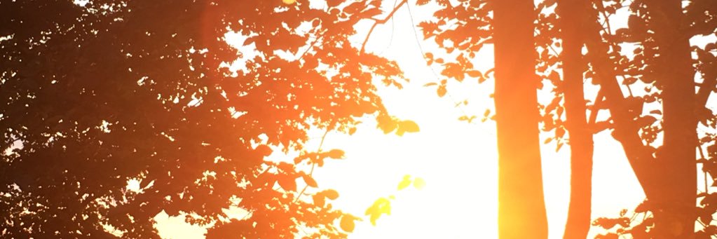 allison_mcsmith's profile banner image