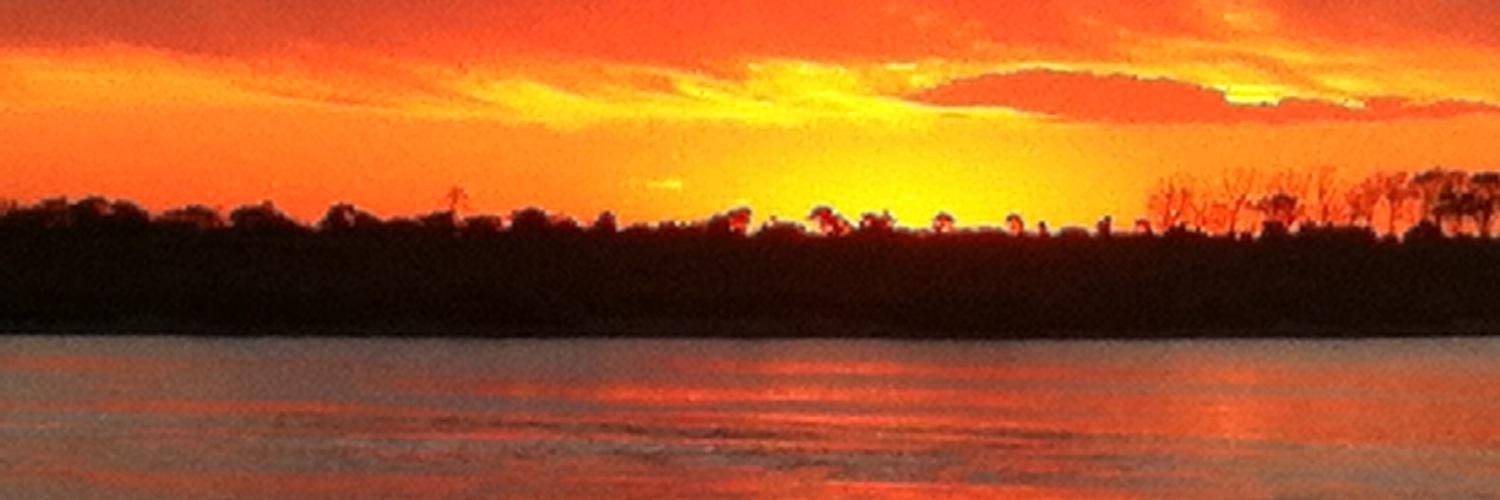 Mustafa Nuristani banner