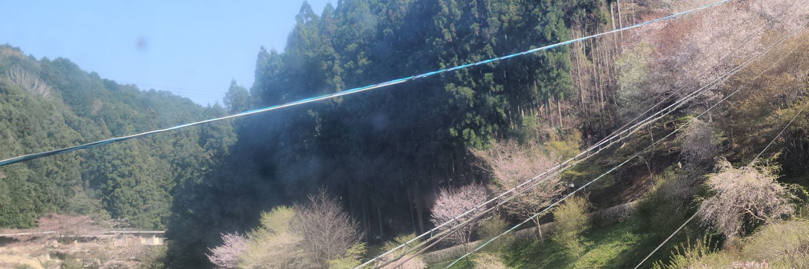 monomono1998's profile banner image