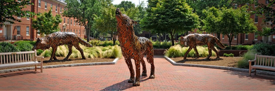 NCState_DEPTH's profile banner image