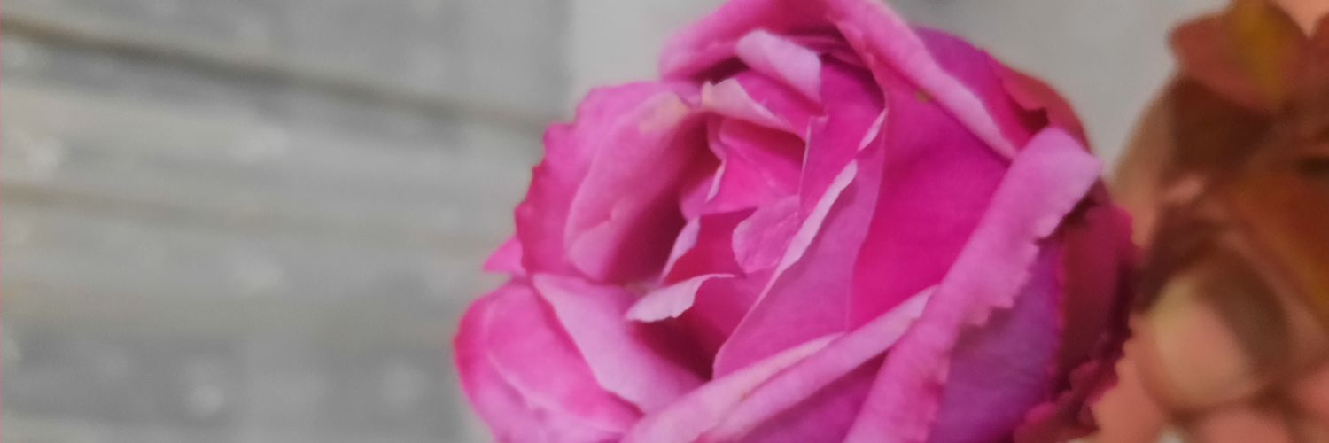 mr_smilingman's profile banner image