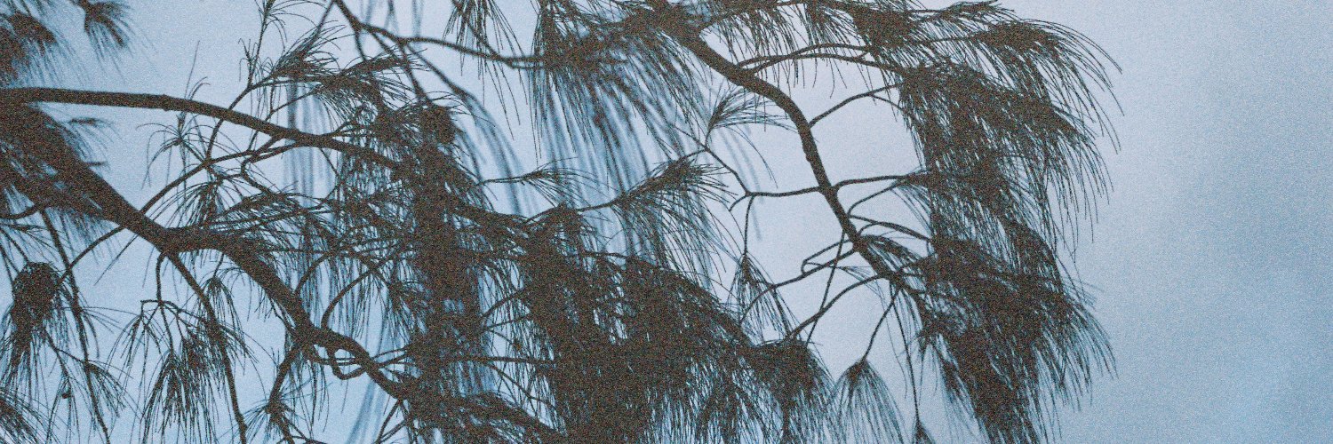 Arielle Milkman banner