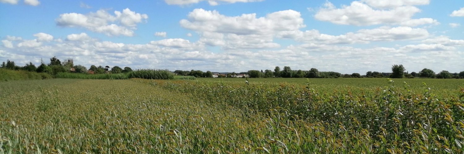 Musgrove Willows Ltd banner