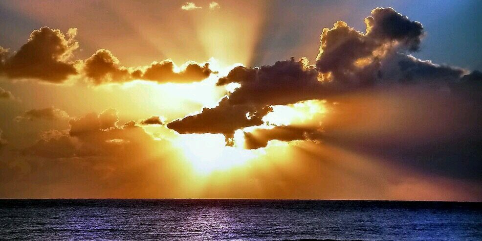 Alfonso Correa banner