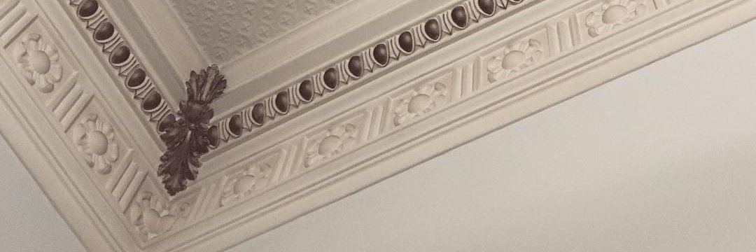 ameliahaysom's profile banner image