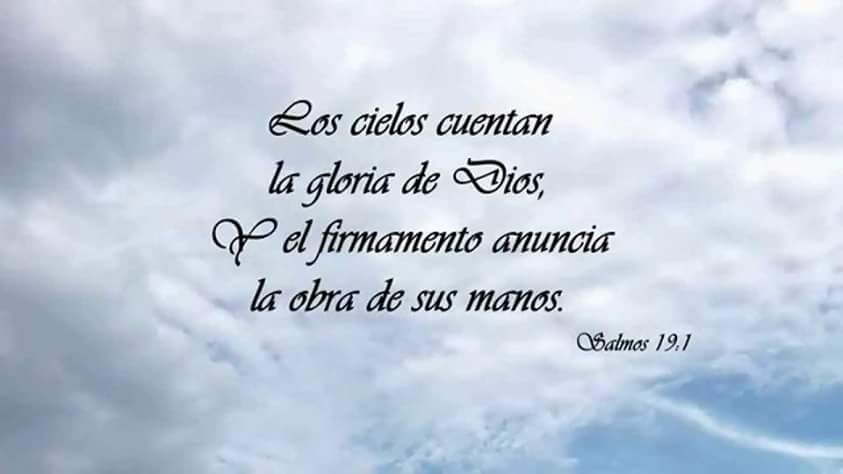 NormaBarbosa519's profile banner image
