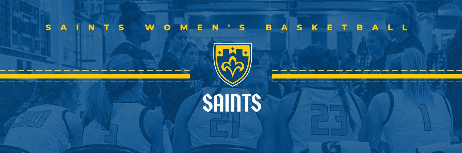 CSS WBBall banner