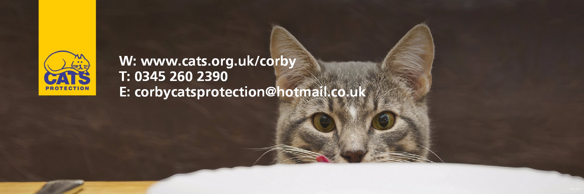 Corby_Cats's profile banner image