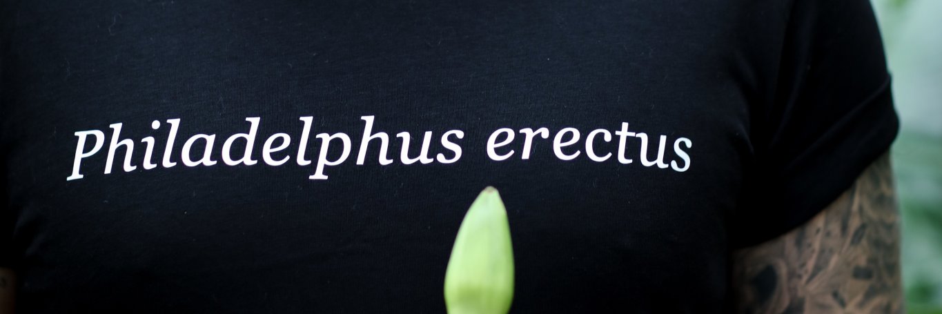 rudebotany's profile banner image
