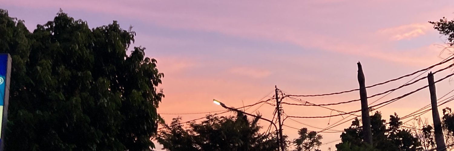 barmecidee's profile banner image