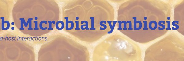 PEngellab Profile Banner