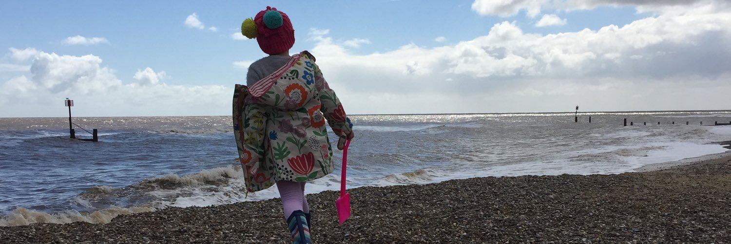 Anna Patterson Lee banner