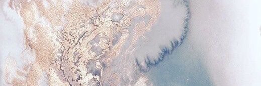 danielle🤍 banner