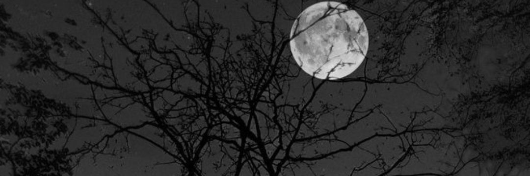 Larycris66's profile banner image