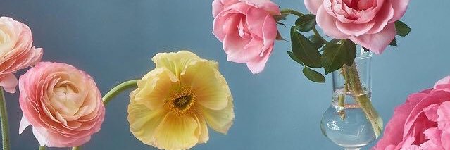 piepalin's profile banner image