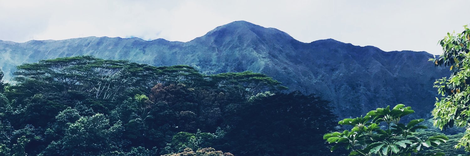 Andrea Westerband banner