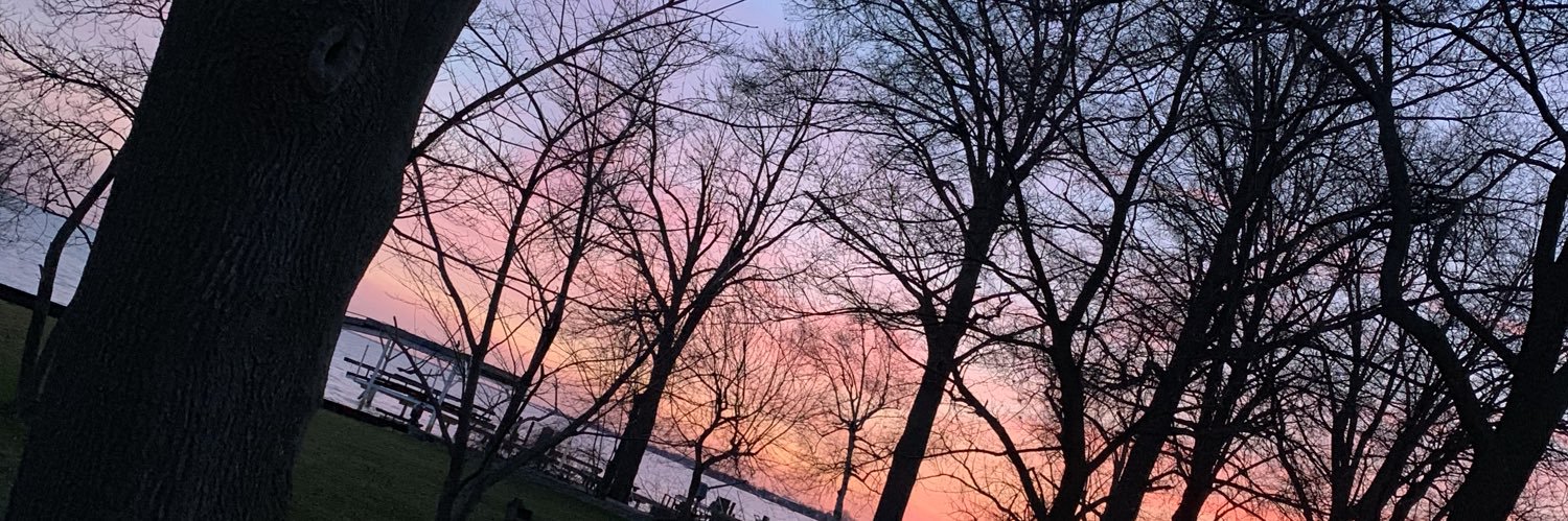 mady_delene's profile banner image
