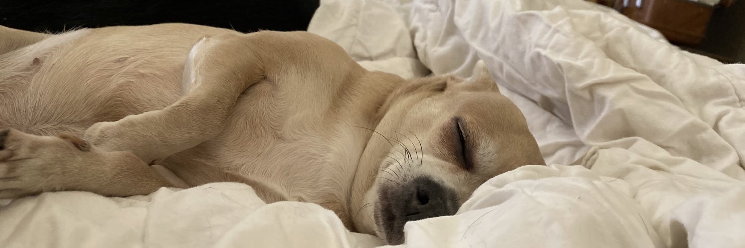 Carlize Theron banner