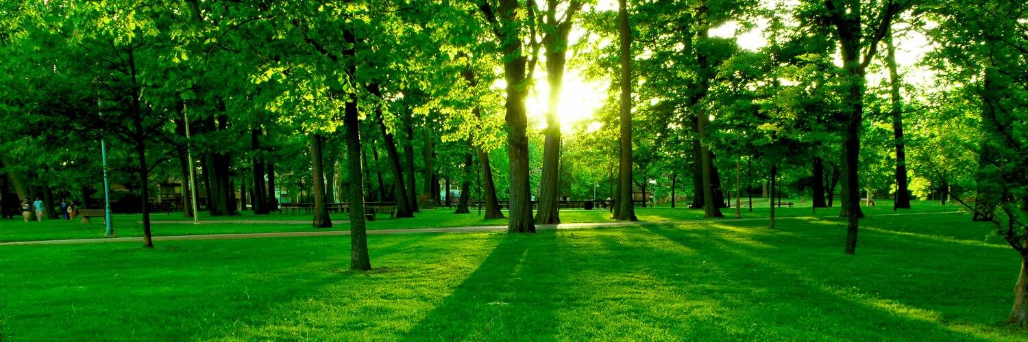 Aigars Silkalns banner